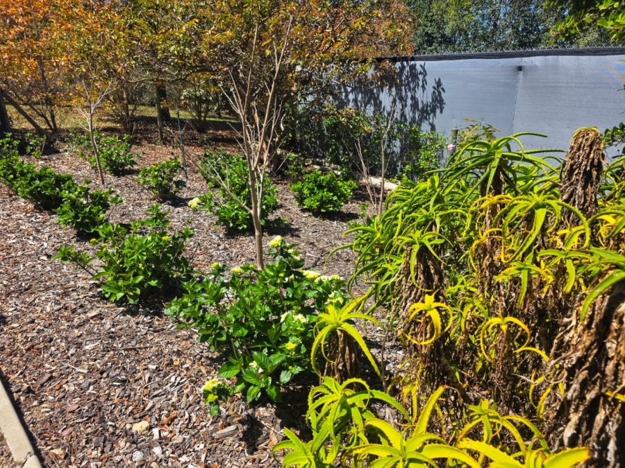 Commercial Property for Sale in Hoekwil Western Cape